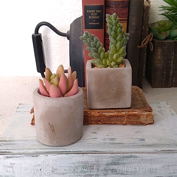 2 Small Fake Succulent Cactus potted plants - Picture 4 of 9